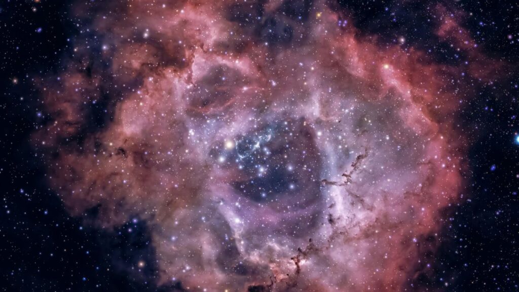 Por onde começar para ter Despertar da Consciência